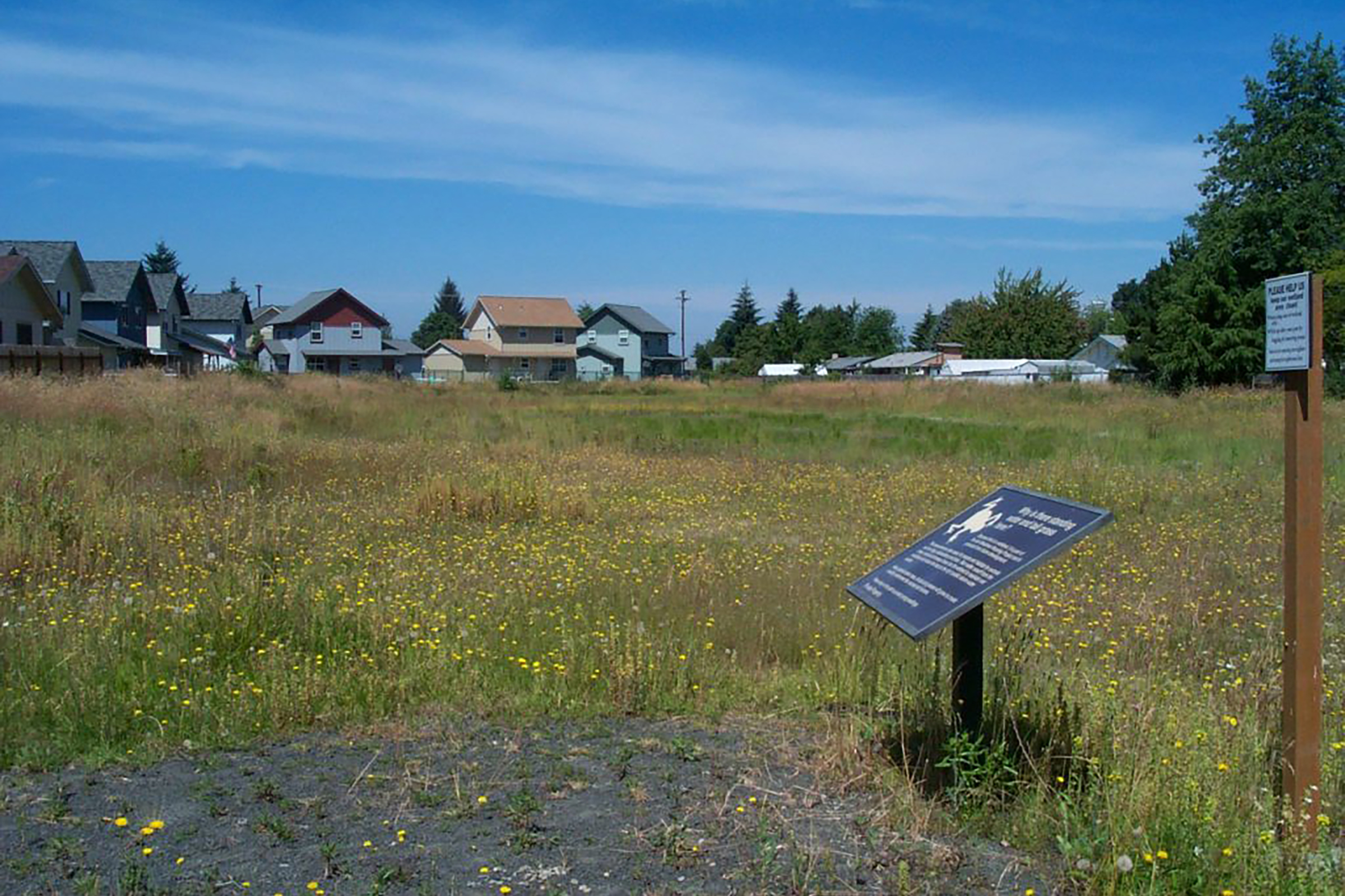 Ash-Meadows-5