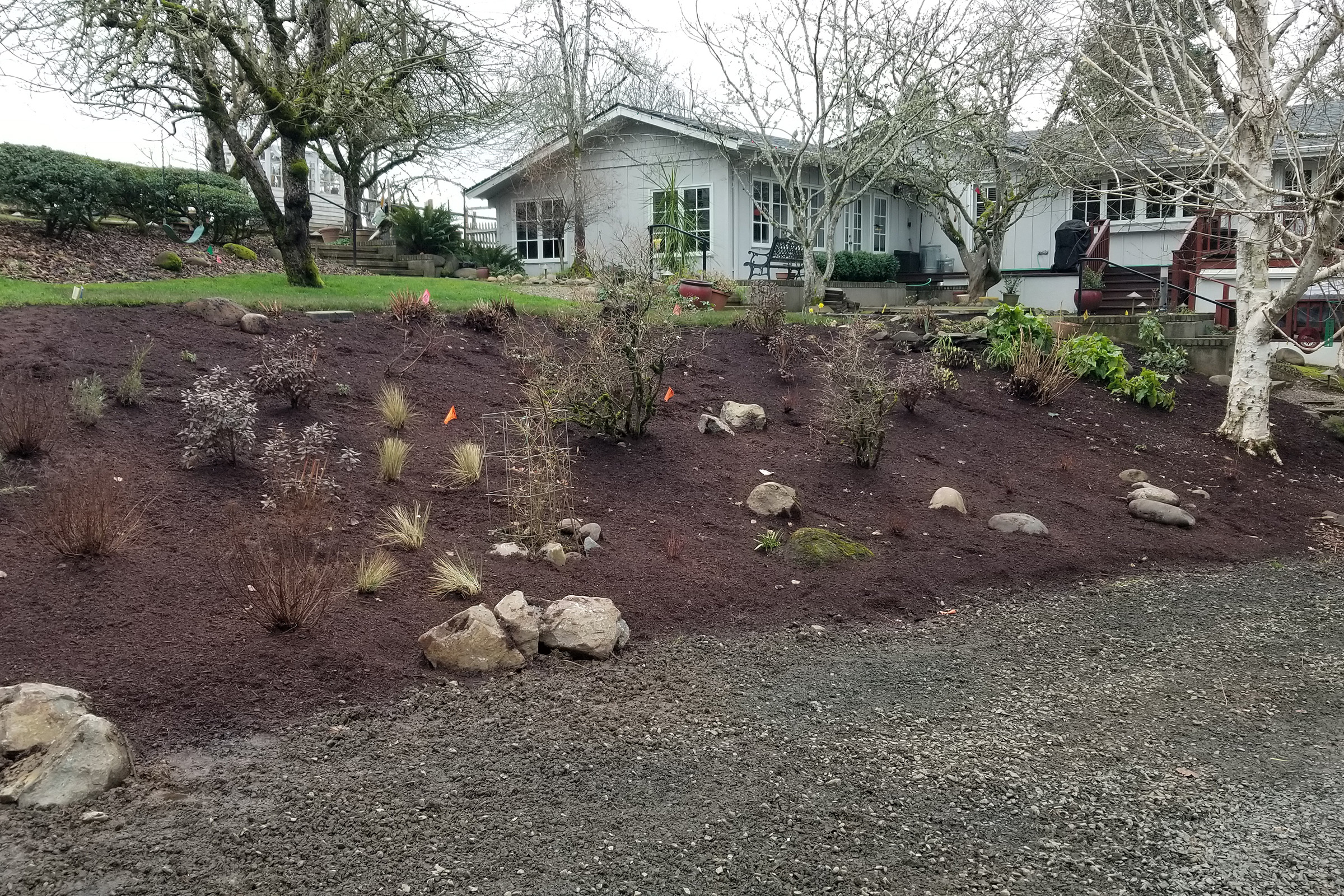 Daly Residence 20220121_152211