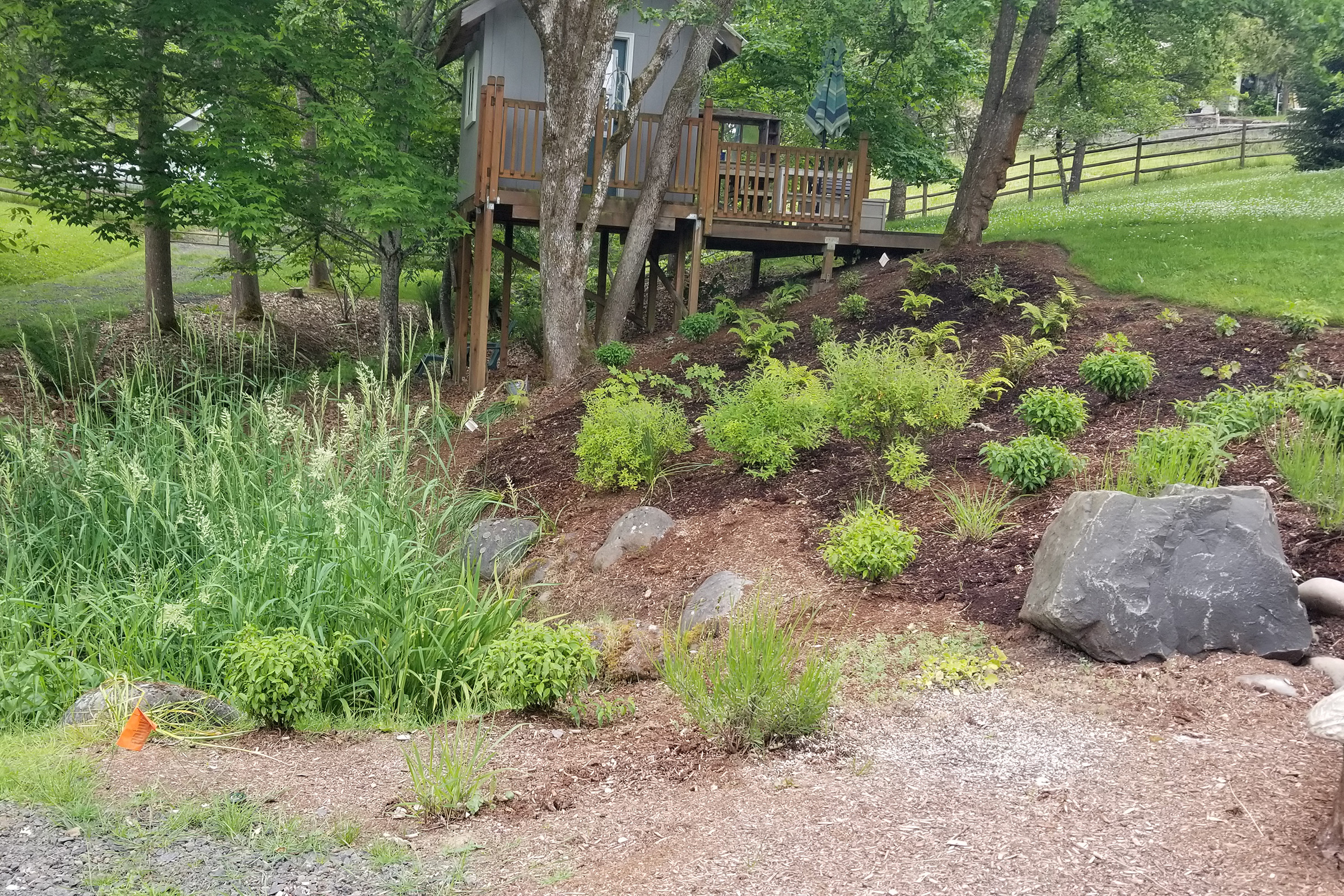 Daly Residence 20220603_114416