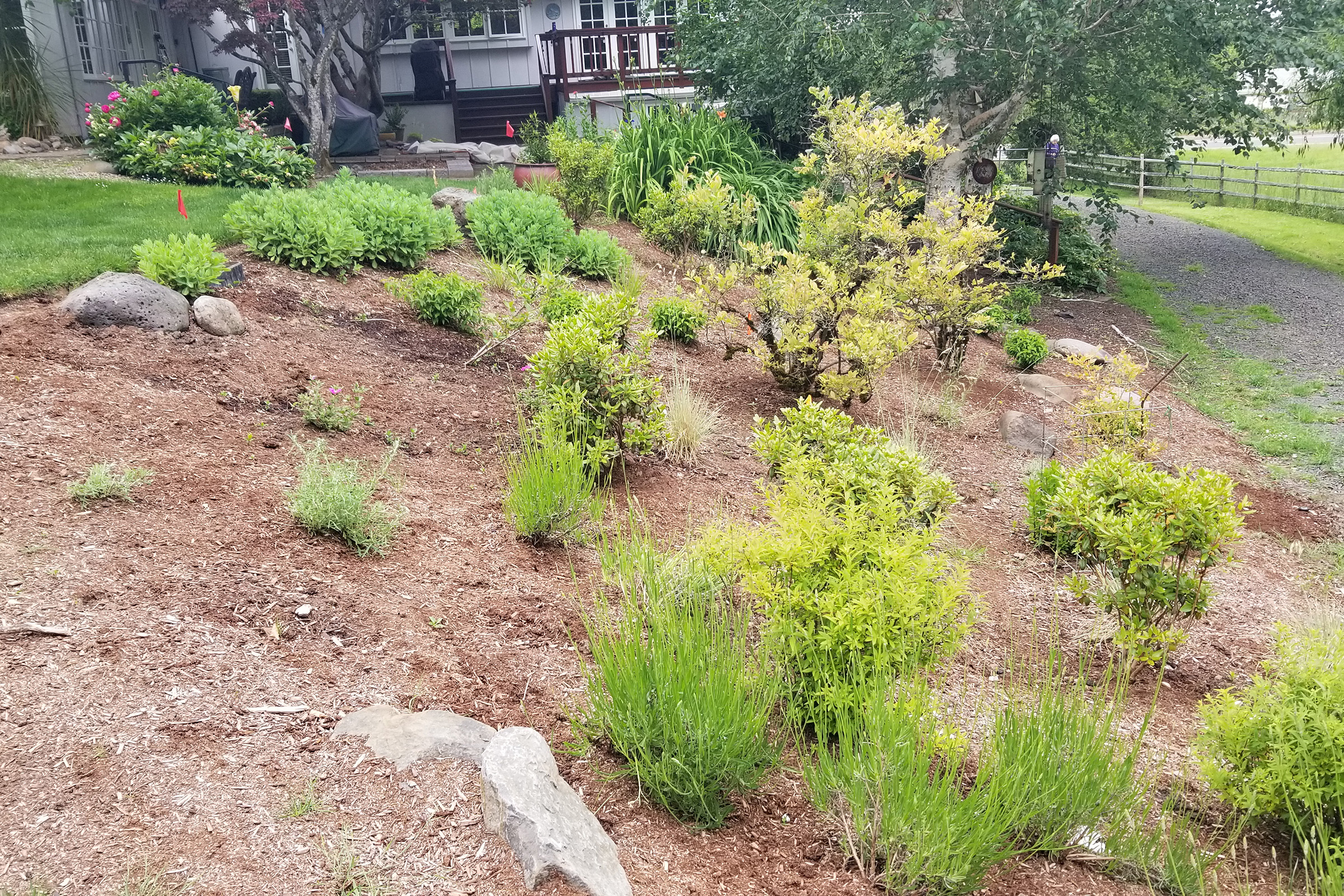 Daly Residence 20220603_114426