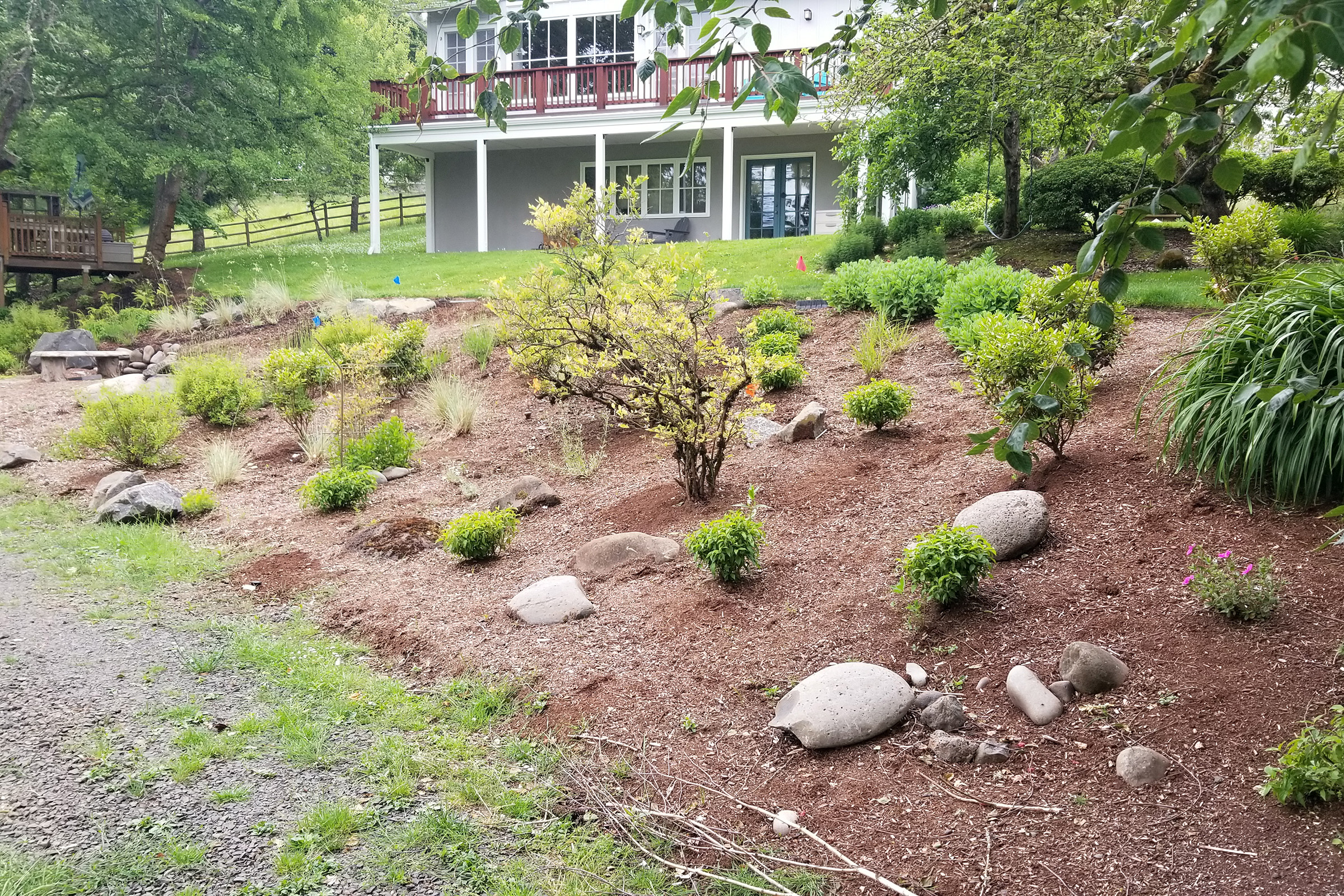 Daly Residence 20220603_114707