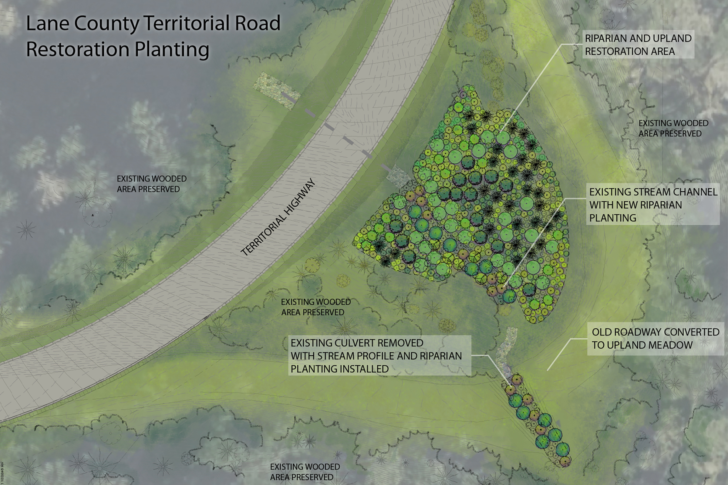 Territorial Road - Illustrative Plan