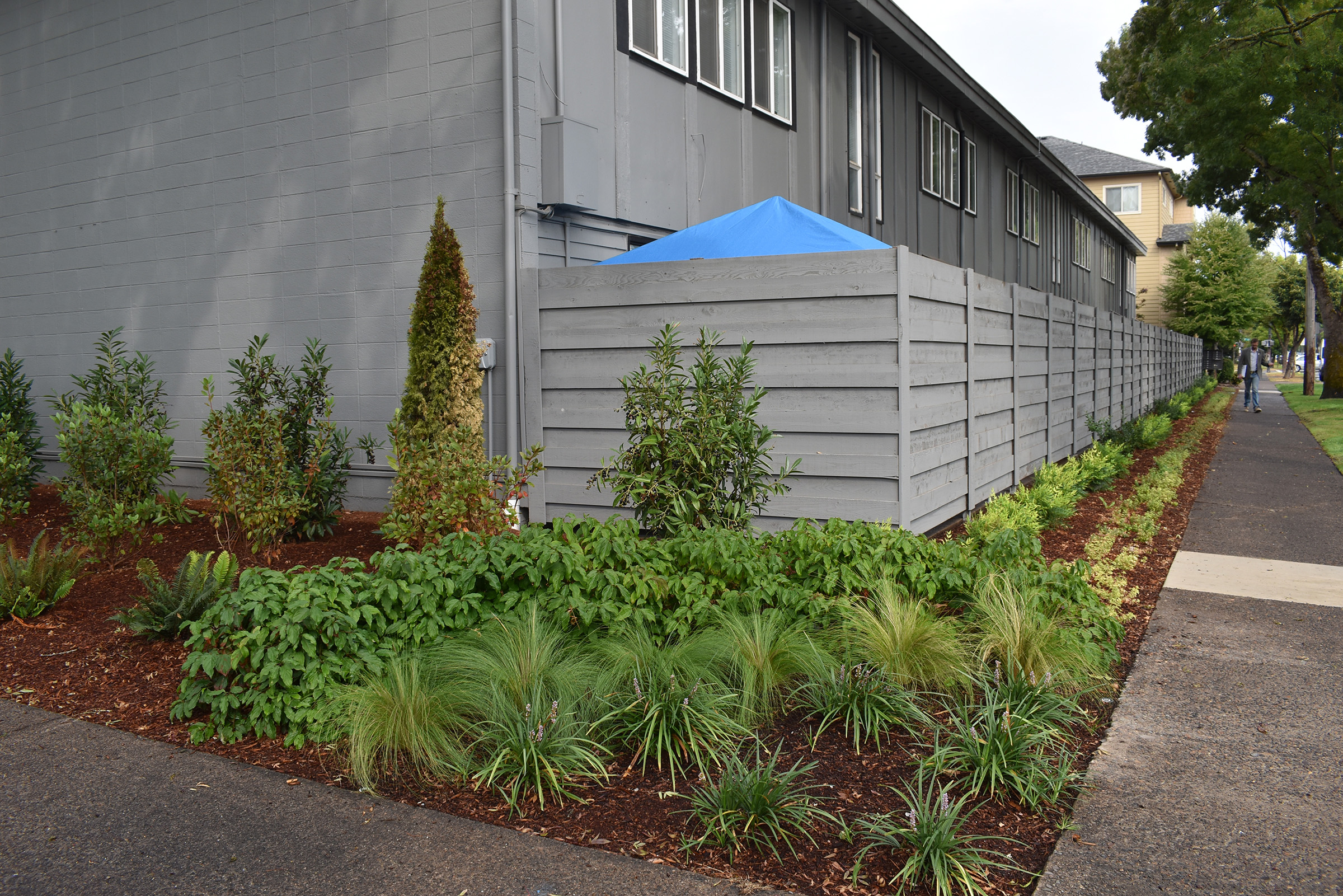 19th and Patterson_1