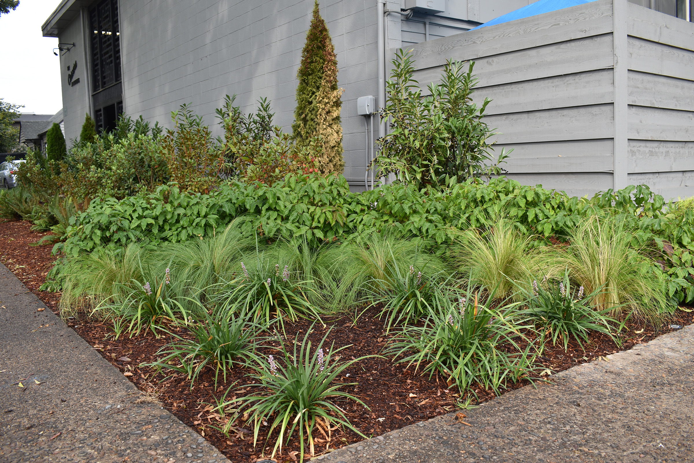 19th and Patterson_2