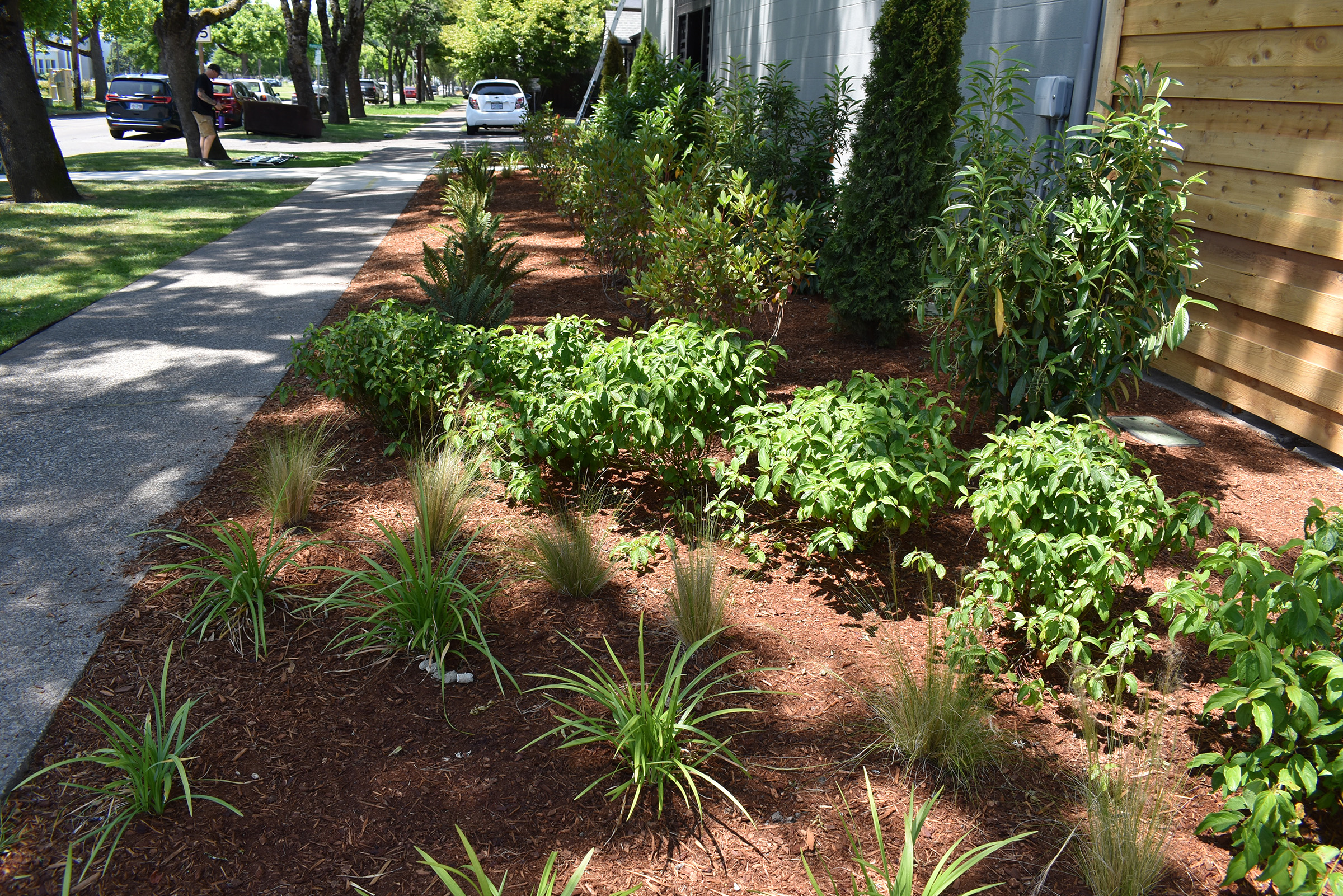 19th and Patterson_5