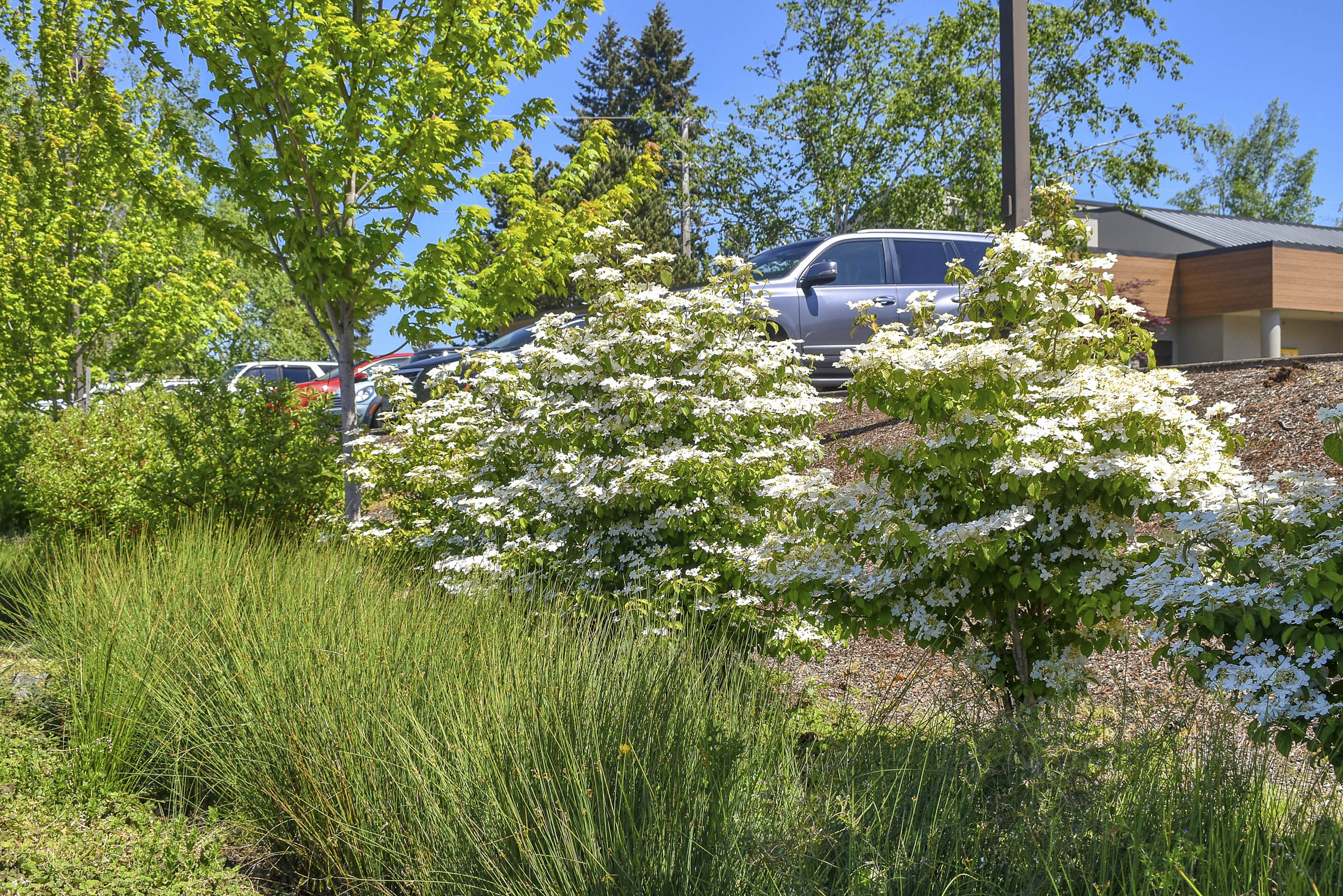 oregon-medical-group-6