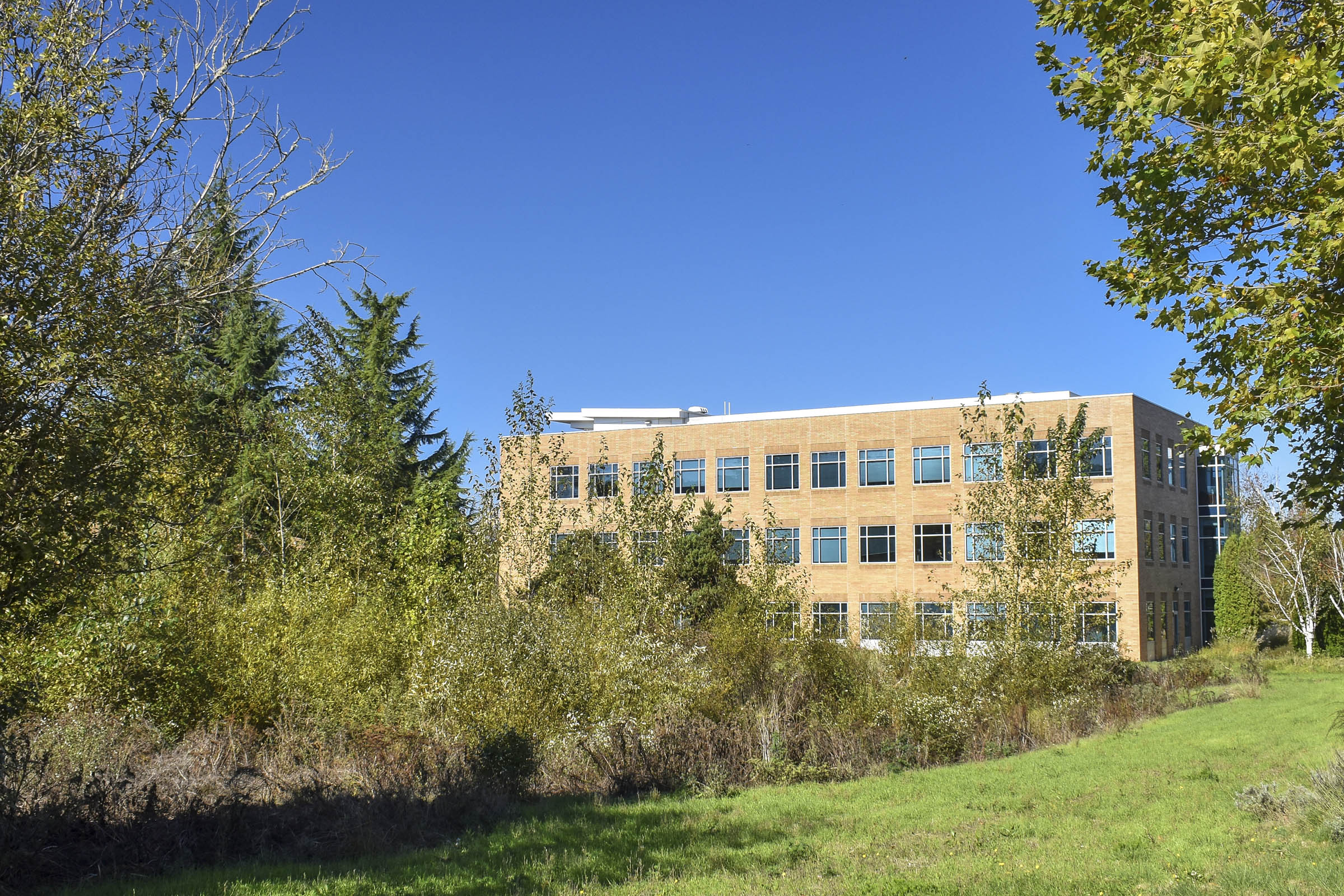thermo-fisher-1